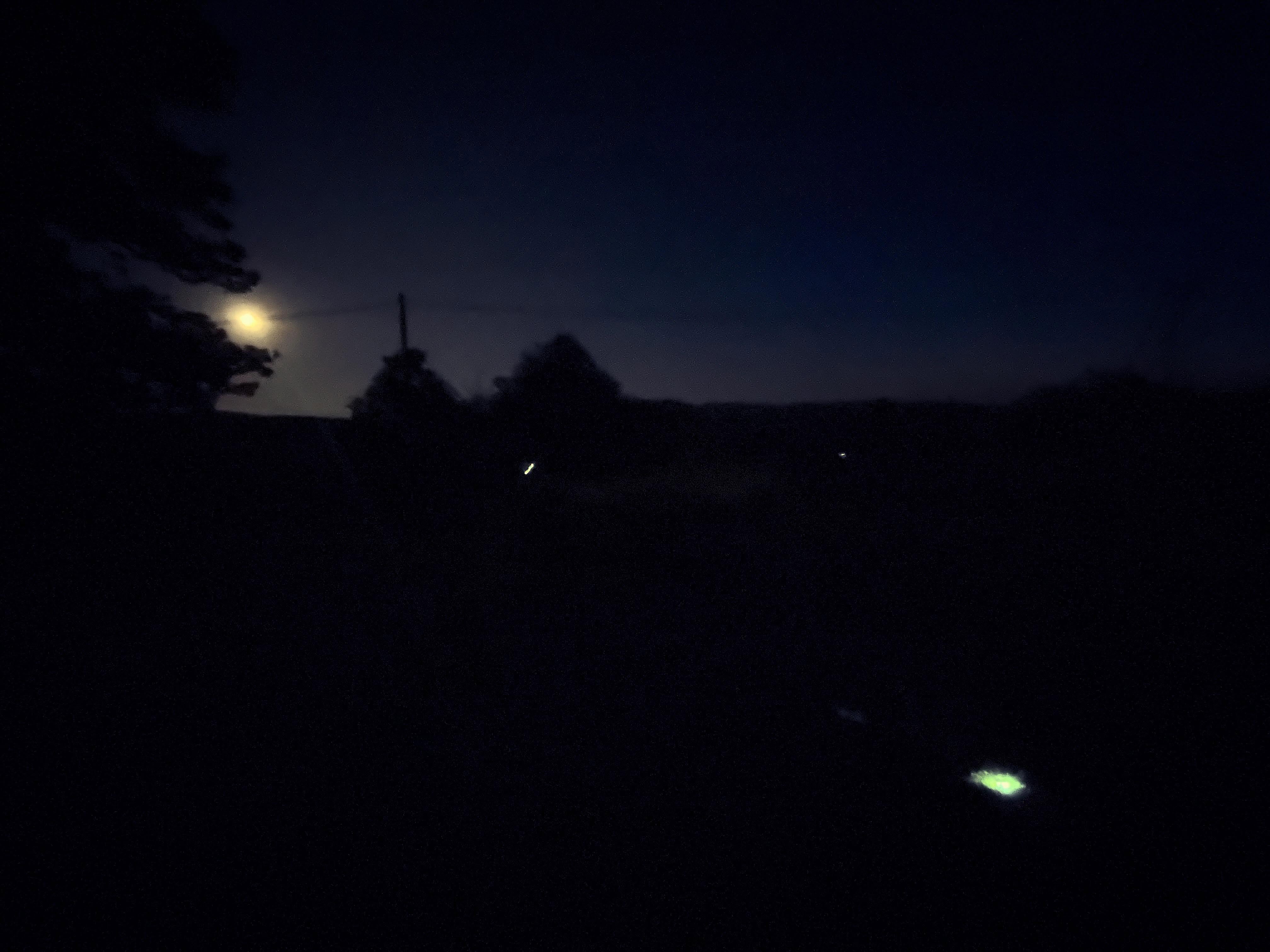 Beim Nachtspiel am heutigen Bergfest suchen wir versteckte Blinklichter.