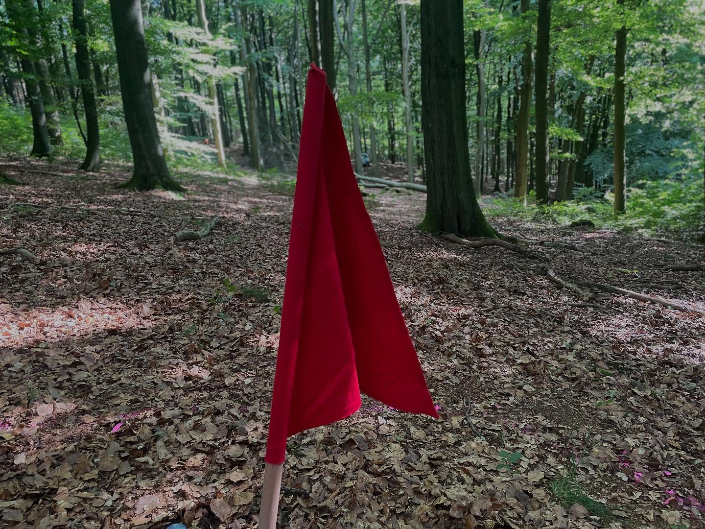 Das Eckige muss ins Runde und das Spiel dauert 90 Minuten! Heute spielen wir den Zeltlager Klassiker Capture the Bauklotz. 🚩#zeltlager #ctb